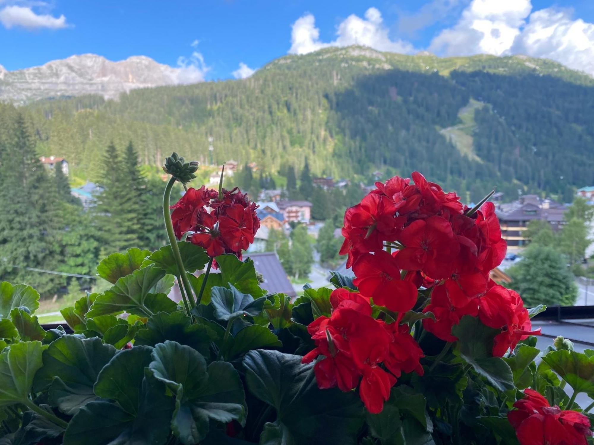 Hotel Dahu Madonna di Campiglio Exterior photo